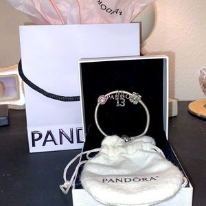 Pandora Charm Bracelet